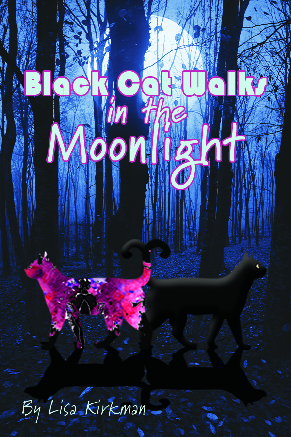 Black Cat Walks in the Moonlight